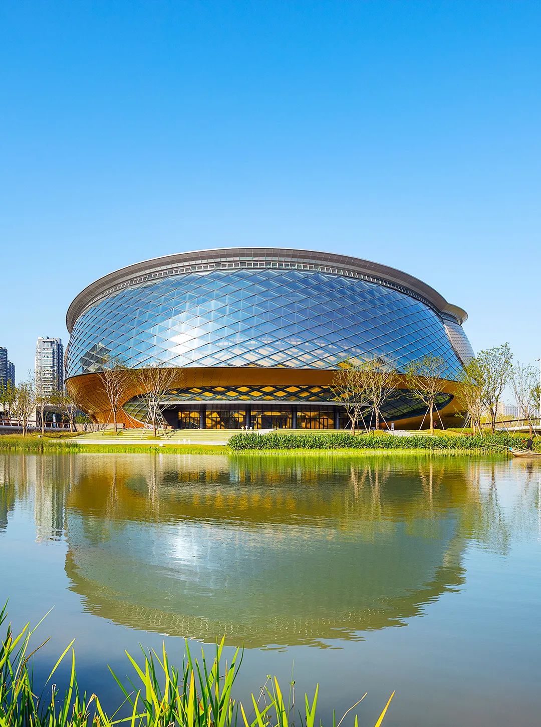 威客电竞(vkgame)-为竞技而生