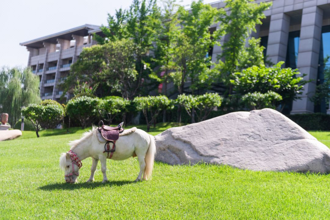 威客电竞(vkgame)-为竞技而生