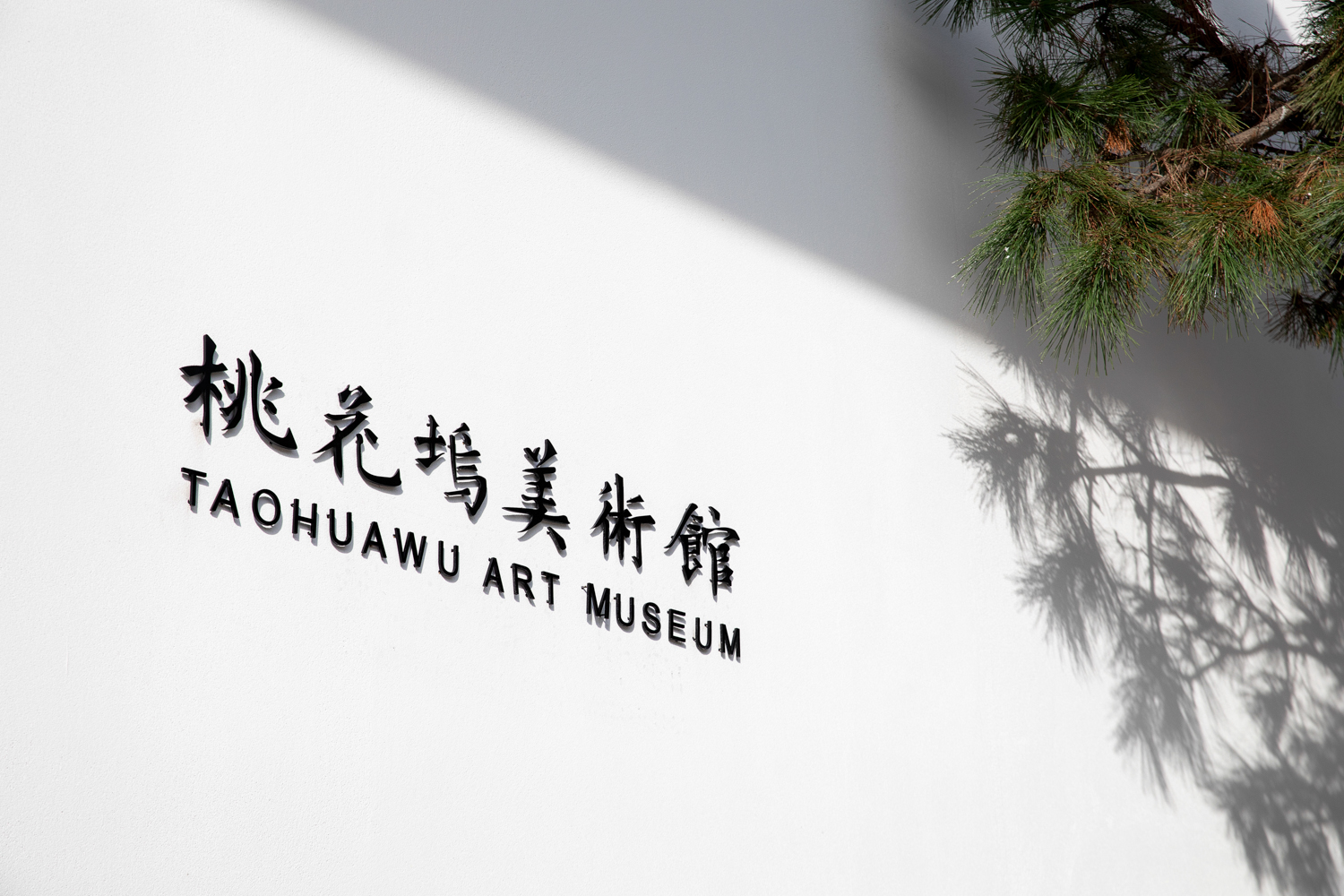 威客电竞(vkgame)-为竞技而生