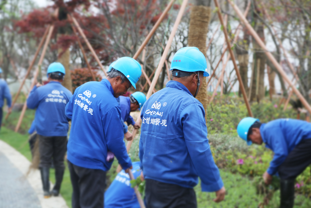 威客电竞(vkgame)-为竞技而生