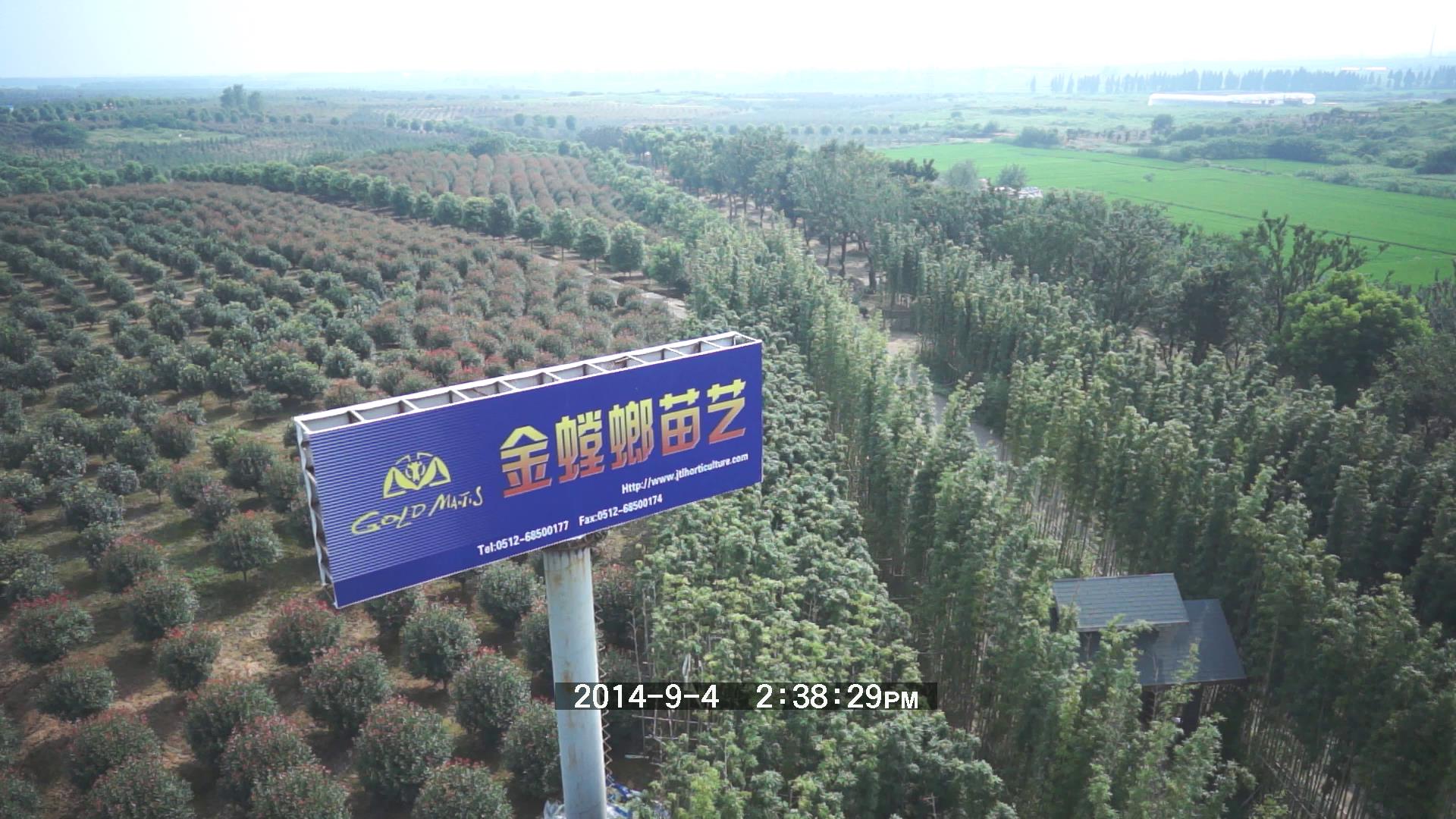 威客电竞(vkgame)-为竞技而生