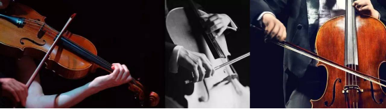 威客电竞(vkgame)-为竞技而生