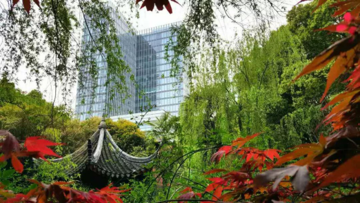 威客电竞(vkgame)-为竞技而生