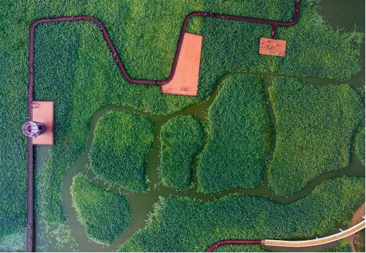 威客电竞(vkgame)-为竞技而生