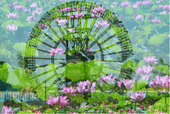 威客电竞(vkgame)-为竞技而生