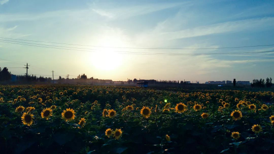 威客电竞(vkgame)-为竞技而生