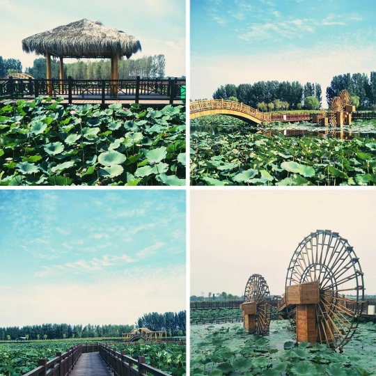 威客电竞(vkgame)-为竞技而生