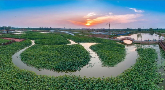 威客电竞(vkgame)-为竞技而生