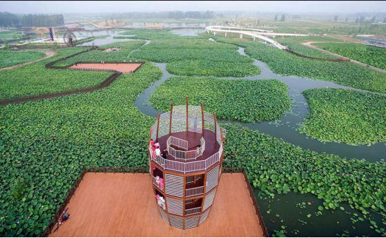 威客电竞(vkgame)-为竞技而生