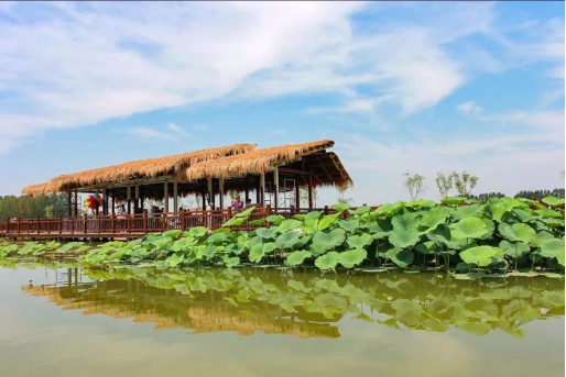 威客电竞(vkgame)-为竞技而生