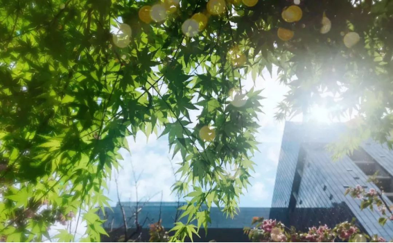 威客电竞(vkgame)-为竞技而生