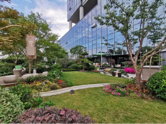 威客电竞(vkgame)-为竞技而生