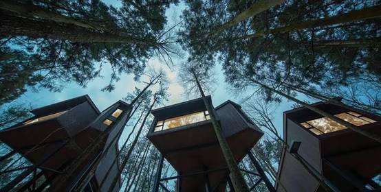 威客电竞(vkgame)-为竞技而生