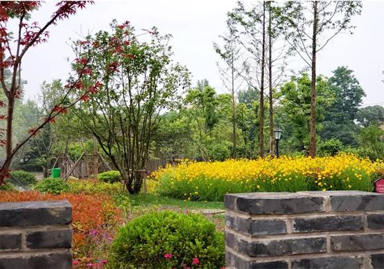 威客电竞(vkgame)-为竞技而生