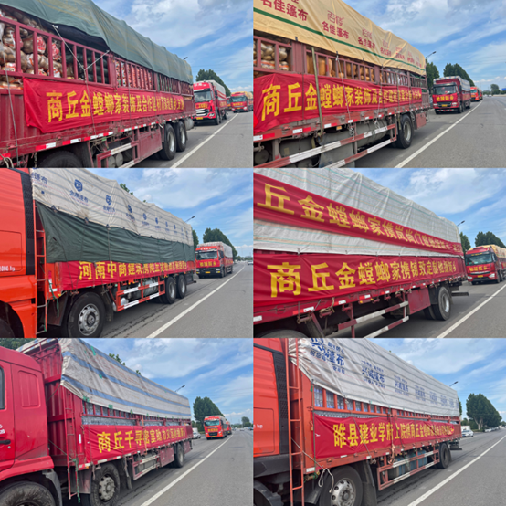 威客电竞(vkgame)-为竞技而生