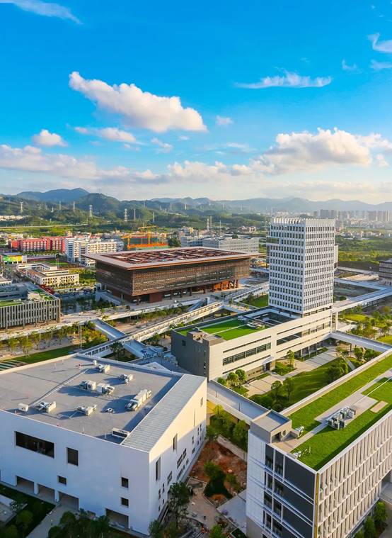 威客电竞(vkgame)-为竞技而生